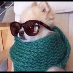 Meet your Posher, Emily